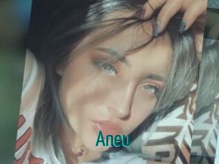 Aneu