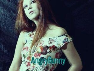 AngryBunny