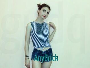 AnyBrick Guide du Queutard