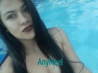 AnyMeel
