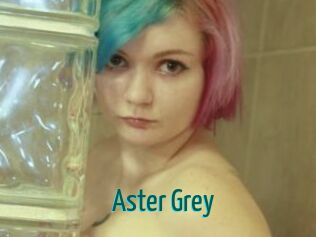 Aster_Grey