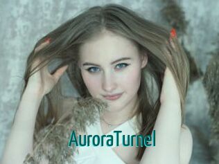 AuroraTurnel