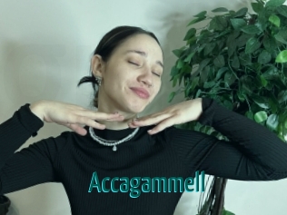 Accagammell