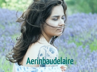 Aerinbaudelaire
