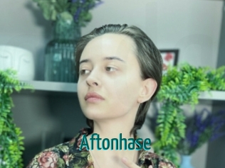 Aftonhase
