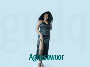 Agnesawuor