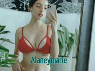 alaneymarie Guide du Queutard