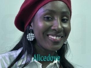 alicedove Guide du Queutard