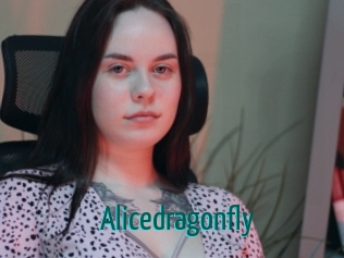 Alicedragonfly