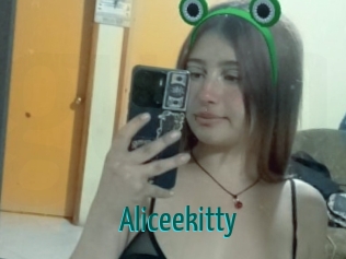 Aliceekitty