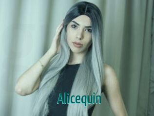 Alicequin