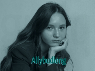 allybudlong Guide du Queutard