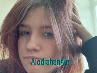 Alodiahankin
