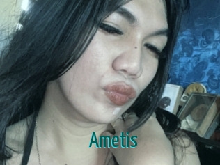 ametis Guide du Queutard