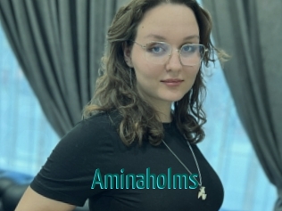 Aminaholms