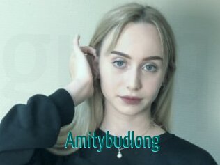 Amitybudlong