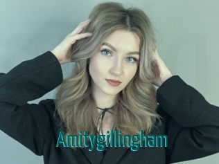 Amitygillingham