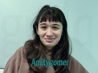 amitygomer Guide du Queutard