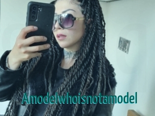 Amodelwhoisnotamodel