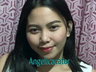 Angelicacator