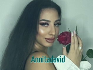 Annitadavid