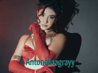 Antonellaagrayy