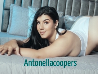 Antonellacoopers