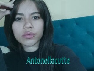 Antonellacutte