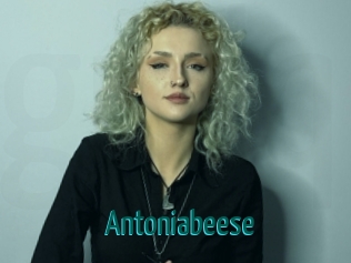 Antoniabeese