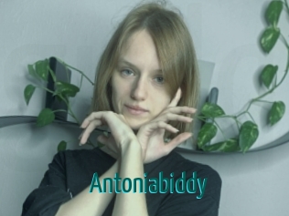 Antoniabiddy