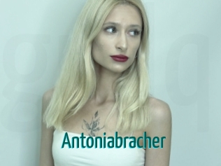Antoniabracher
