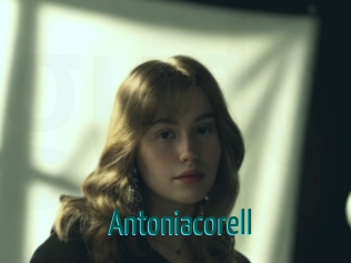 Antoniacorell
