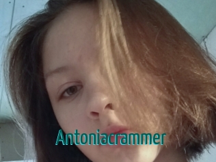 Antoniacrammer