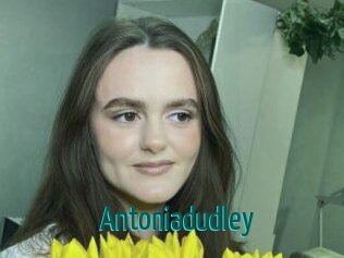 Antoniadudley