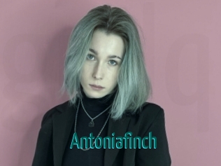 Antoniafinch