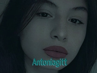 Antoniagitt