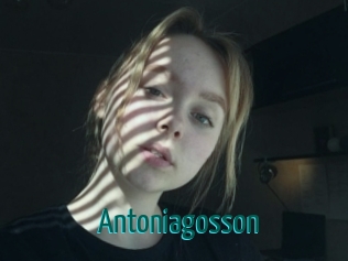 Antoniagosson