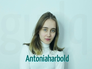 Antoniaharbold