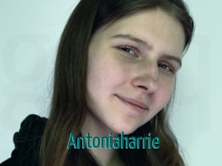 Antoniaharrie