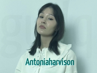 Antoniaharvison