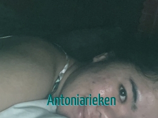 Antoniarieken