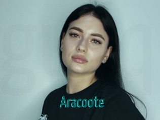 Aracoote