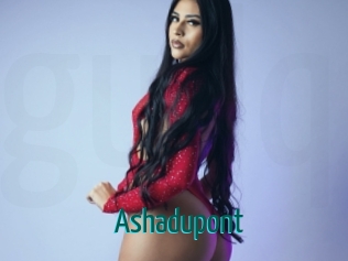 ashadupont Guide du Queutard
