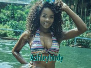 Ashleybirdy