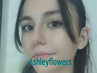 ashleyflowers Guide du Queutard