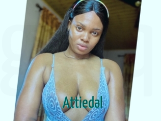 Attiedal
