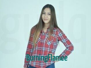 BurningFlamee