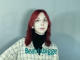 Beatrixbigge