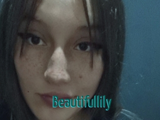 Beautifullily
