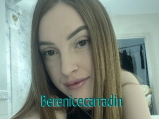 berenicecarradin Guide du Queutard